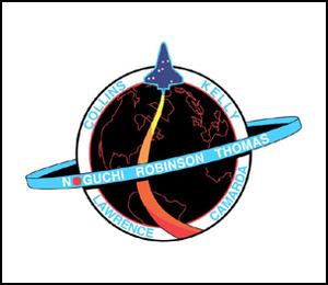 STS-114 Logo