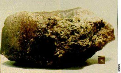 Der Meteorit ALH84001