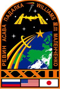 Expedition 32 Logo