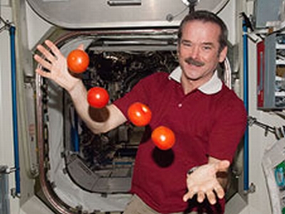 Hadfield mit Tomaten