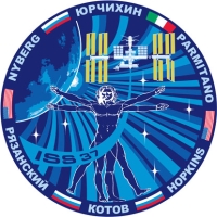Expedition 37 Logo